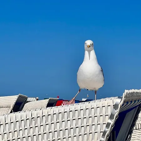 Zuhause Am Mit Sonnenbalkon In Strand- Und Altstadtnaehe Apartment Rostock